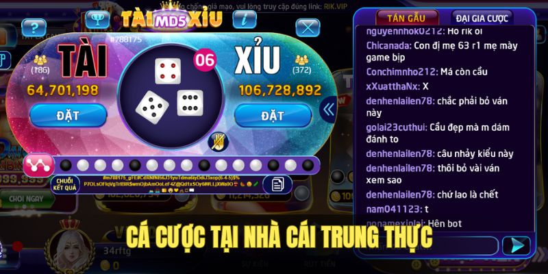 Chơi cá cược tại trang không gian lận