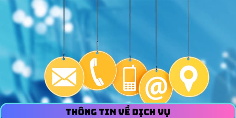 lien-he-c54-tong-quan (1)